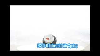 Air Spring G1/8 FS 40-6 dùng trong công nghiệp