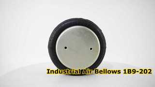 Lò xo khí công nghiệp Goodyear Air Bellows 1B9-202