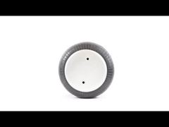 Thay thế lò xo không khí Phoenix SP2B07R